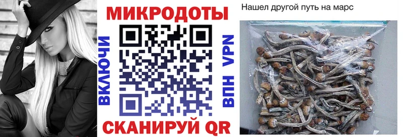 Галлюциногенные грибы ЛСД  где купить наркоту  Тутаев 